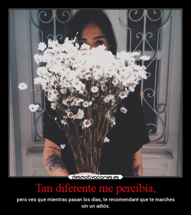 Tan diferente me percibía, - pero veo que mientras pasan los días, te recomendaré que te marches
sin un adiós.