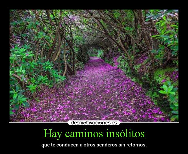Hay caminos insólitos -