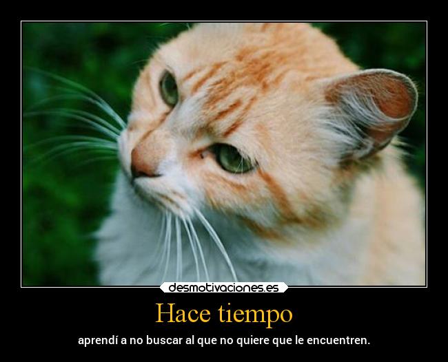 Hace tiempo - aprendí a no buscar al que no quiere que le encuentren.