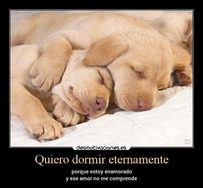 Quiero dormir eternamente - 