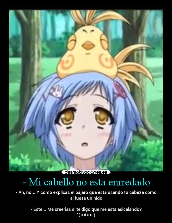 - Mi cabello no esta enrredado -