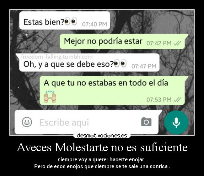 Aveces Molestarte no es suficiente - 