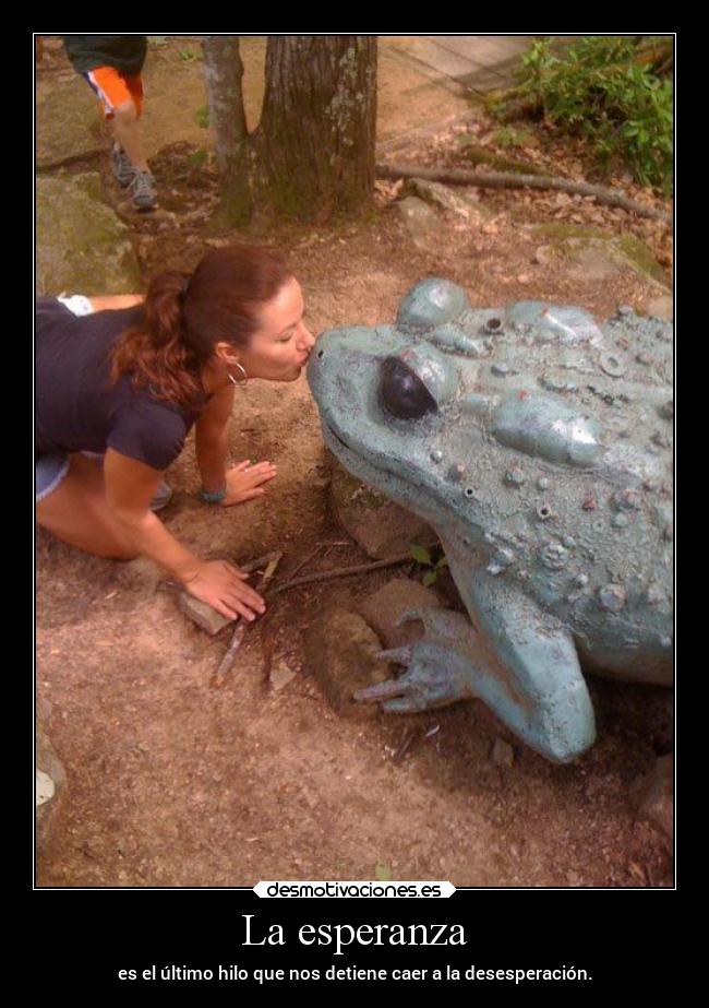 La esperanza - es el último hilo que nos detiene caer a la desesperación.