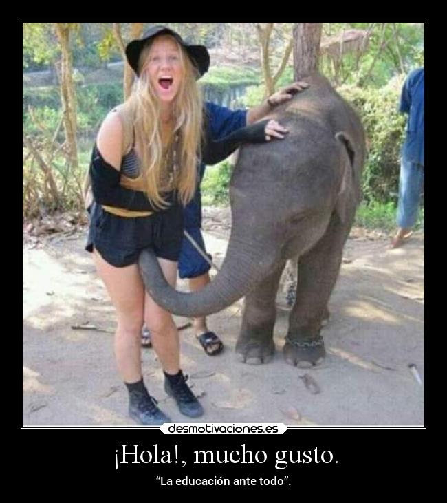 ¡Hola!, mucho gusto. - 