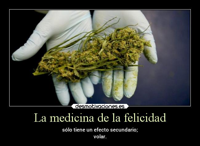 carteles felicidad felicidad marihuana cannabis volar efectos desmotivaciones