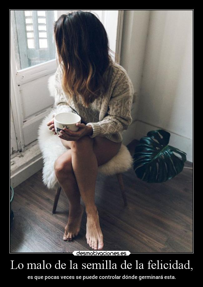 Lo malo de la semilla de la felicidad, - 