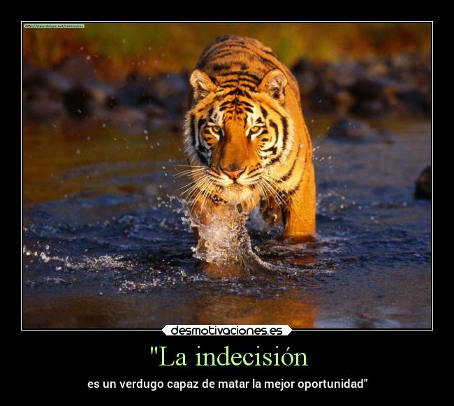 carteles frases indecision perder oportunidad desmotivaciones