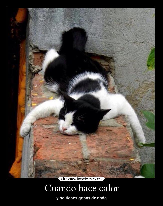 Cuando hace calor - 