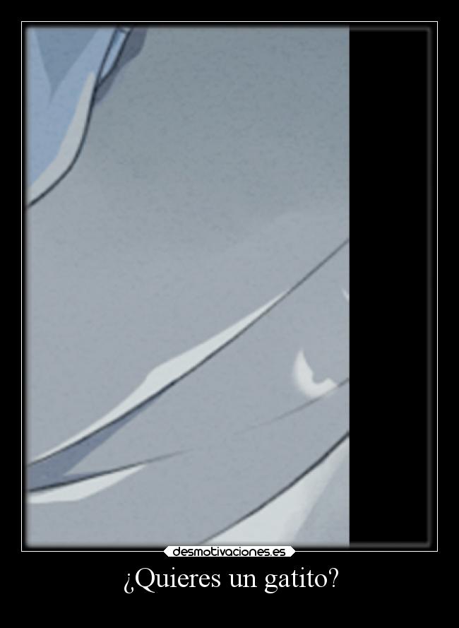 ¿Quieres un gatito? -