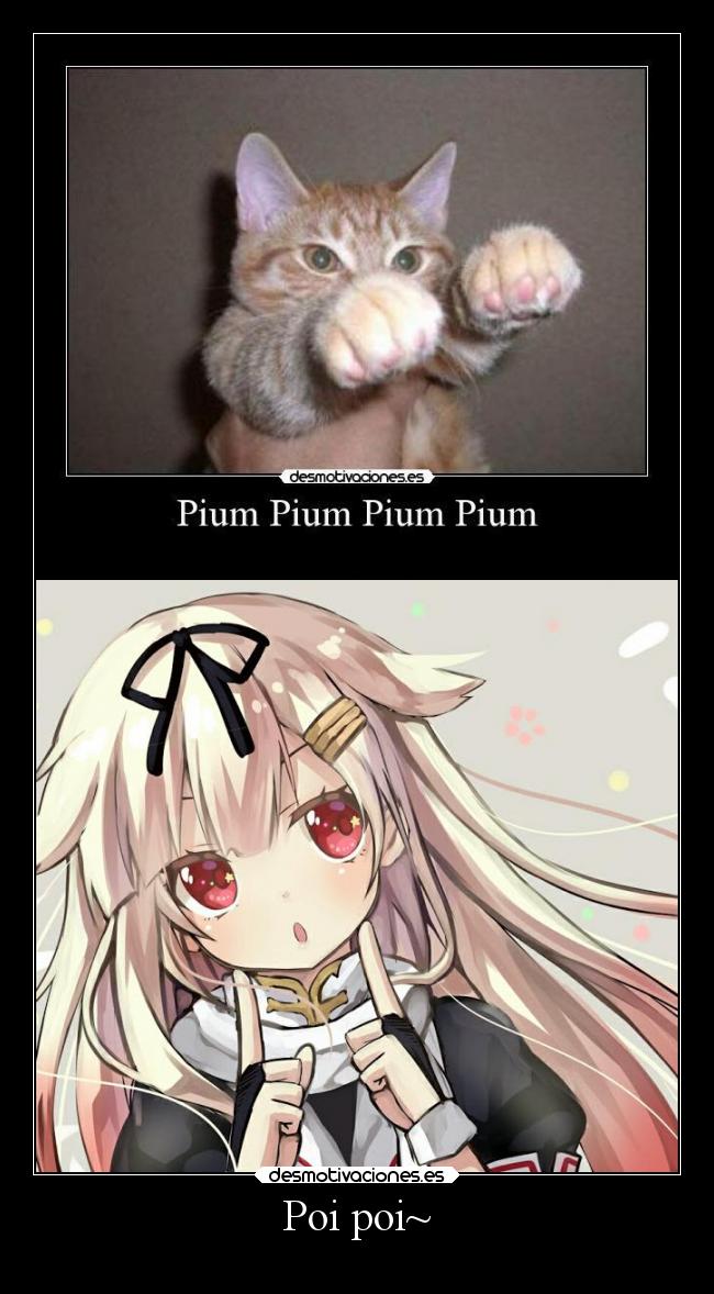 Poi poi~ - 