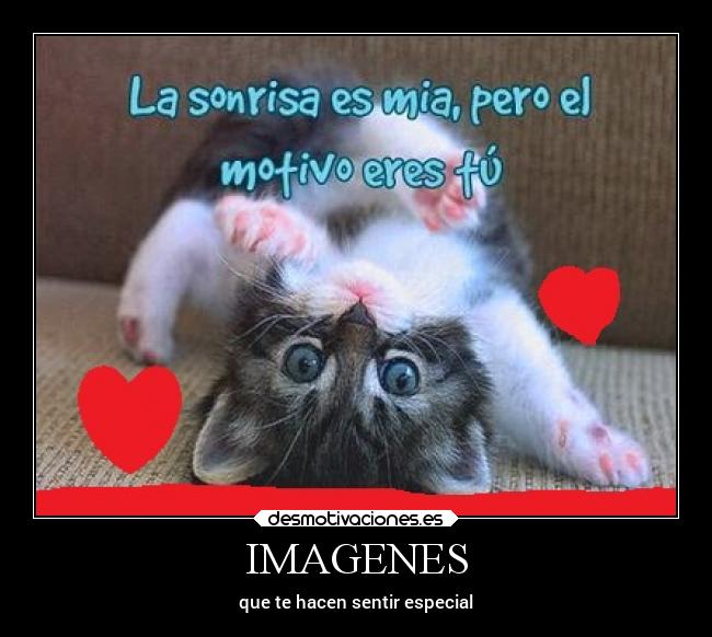 IMAGENES -