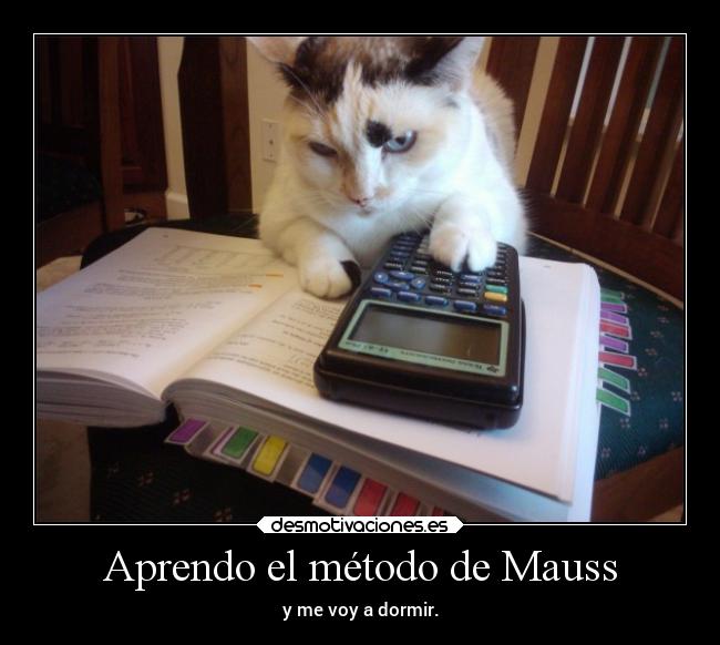 Aprendo el método de Mauss - 