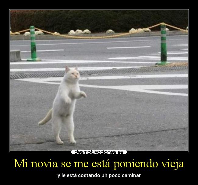 Mi novia se me está poniendo vieja - 