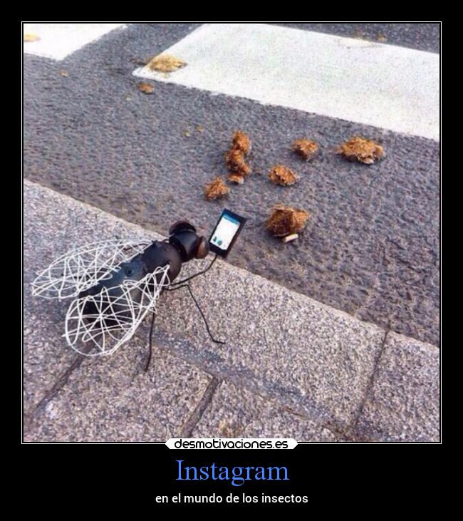 carteles graciosas facebook desmotivaciones