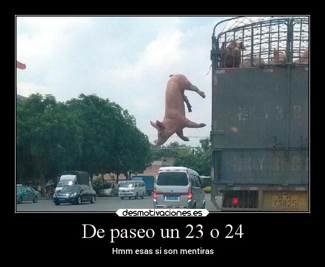 De paseo un 23 o 24 - 