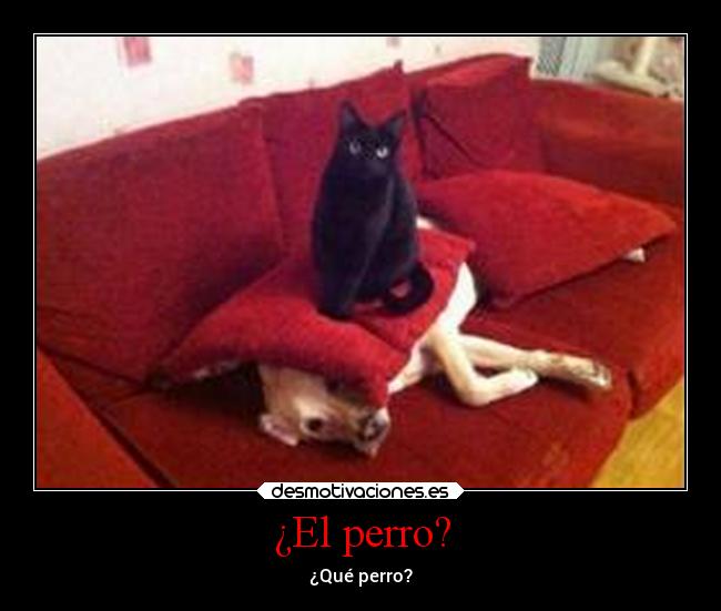 ¿El perro? -