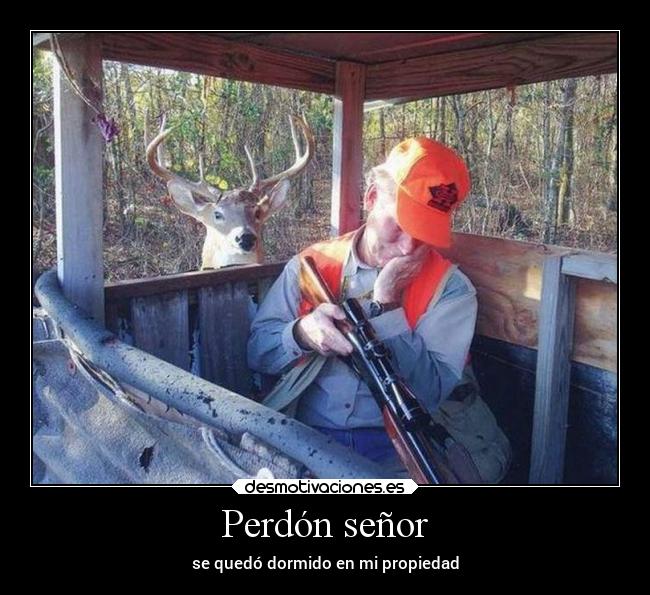 carteles humor benado venado casadores casador arma bosque desmotivaciones