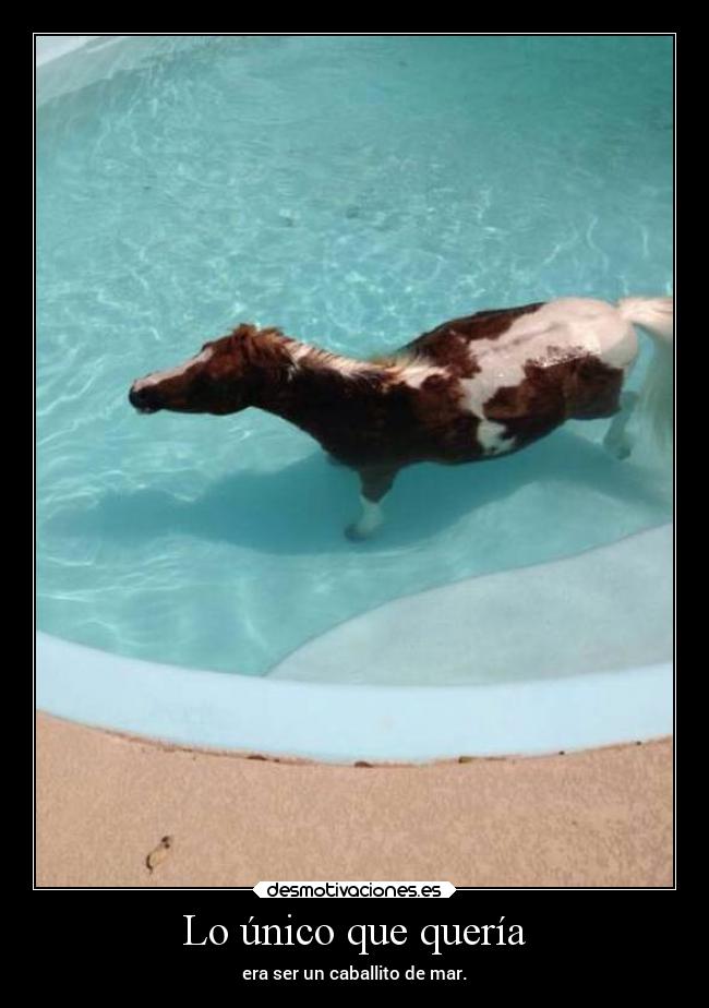 Lo único que quería - era ser un caballito de mar.