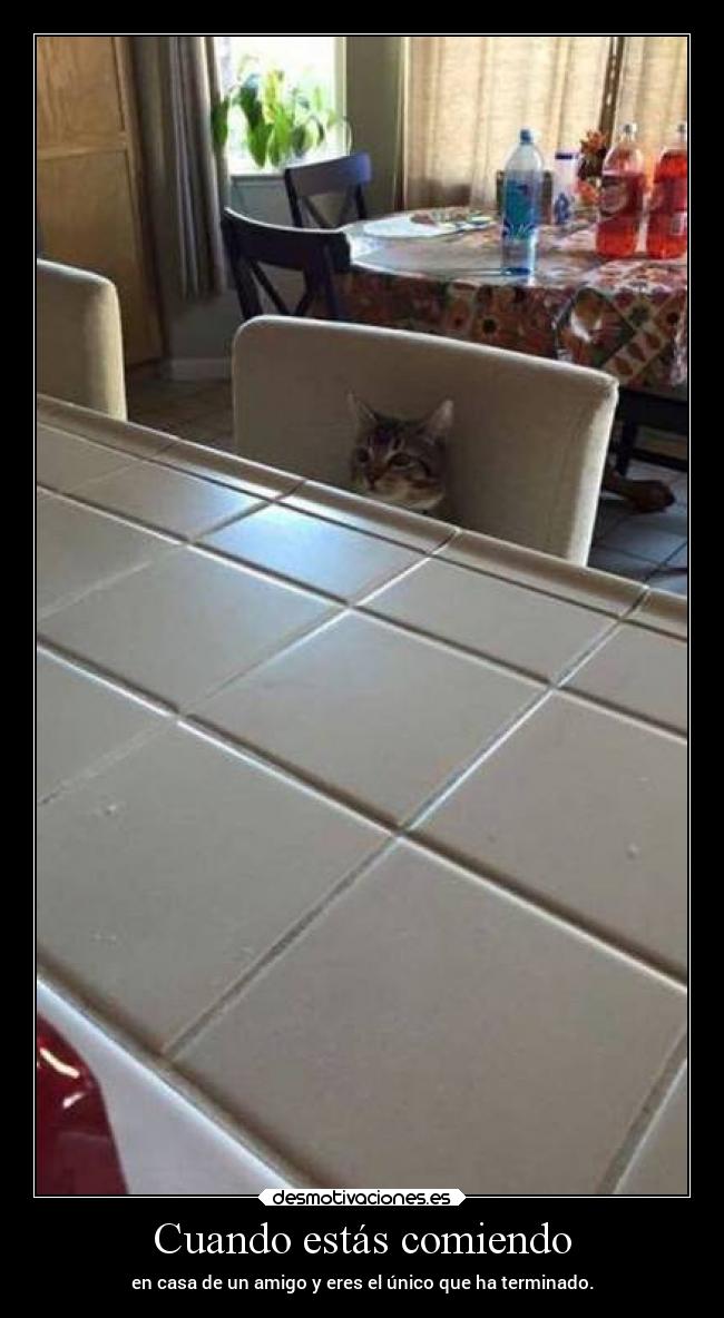 Cuando estás comiendo - en casa de un amigo y eres el único que ha terminado.