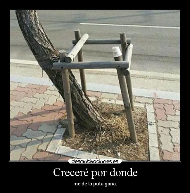 Creceré por donde - me dé la puta gana.
