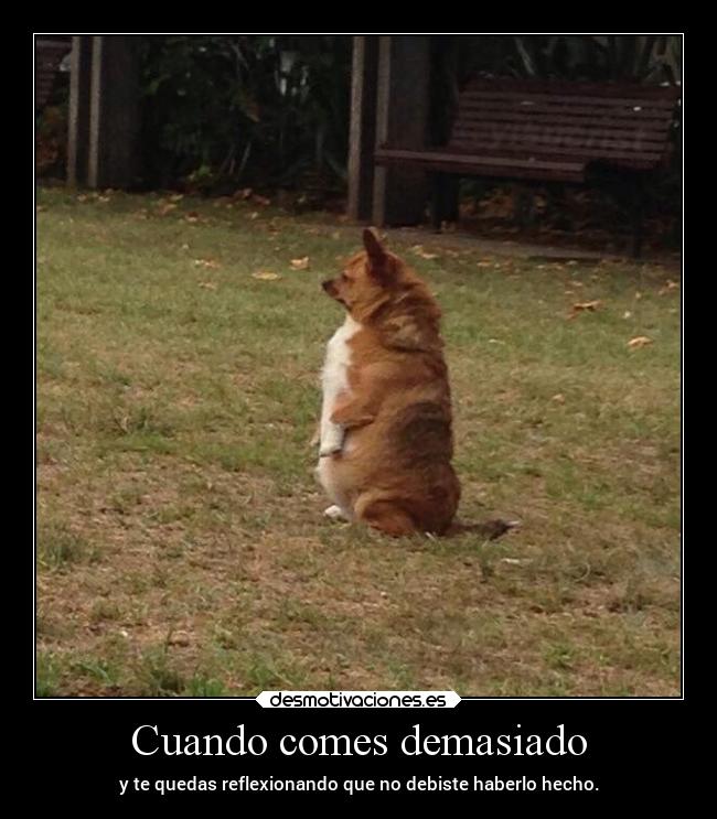 Cuando comes demasiado - y te quedas reflexionando que no debiste haberlo hecho.