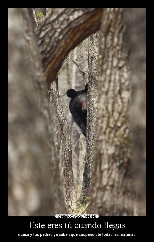 Este eres tú cuando llegas - a casa y tus padres ya saben que suspendiste todas las materias.