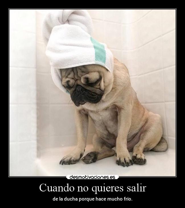 Cuando no quieres salir - de la ducha porque hace mucho frío.