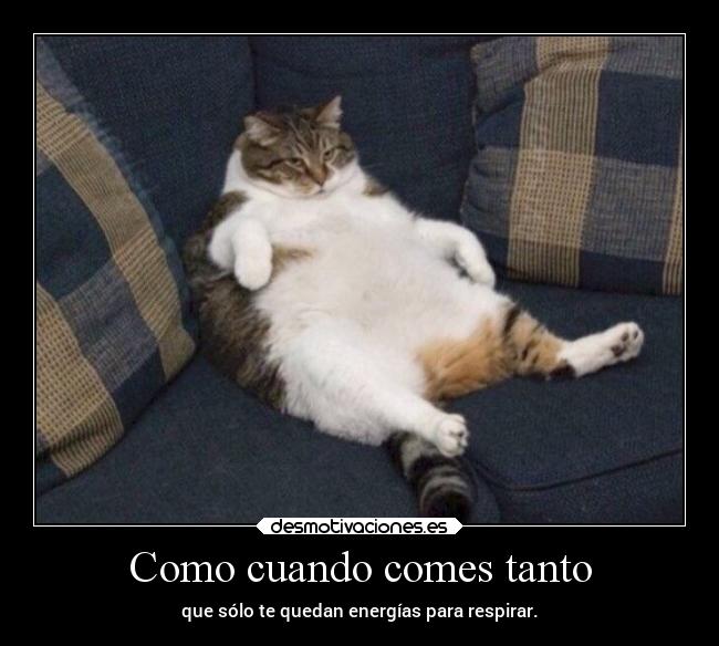 Como cuando comes tanto -