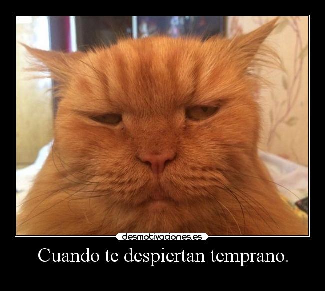 Cuando te despiertan temprano. - 