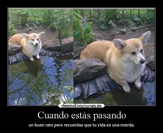 Cuando estás pasando -