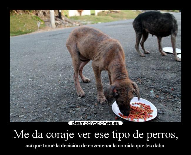 Me da coraje ver ese tipo de perros, - 