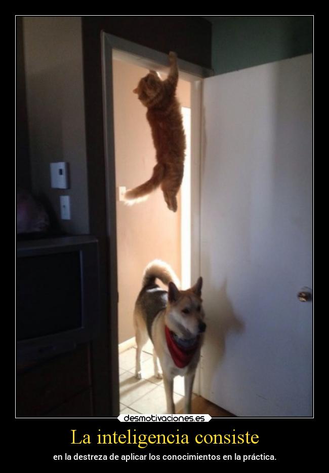 La inteligencia consiste - 