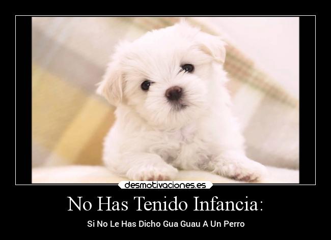 No Has Tenido Infancia: - Si No Le Has Dicho Gua Guau A Un Perro