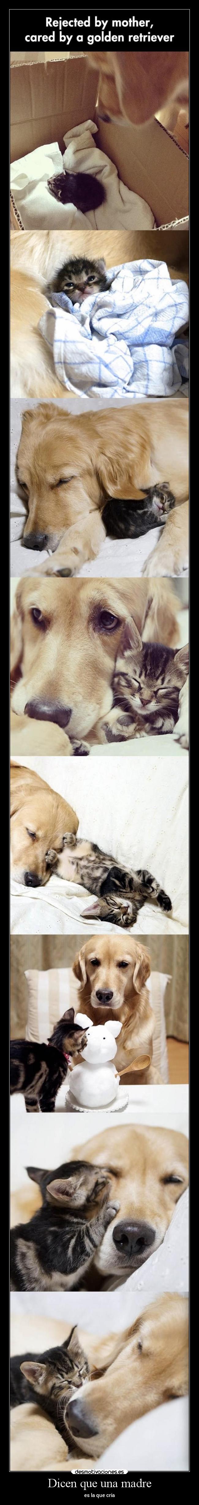 Dicen que una madre - 