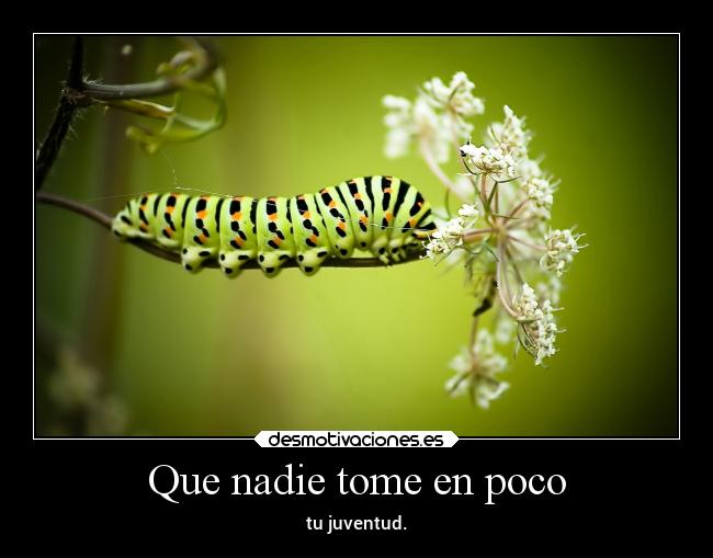 Que nadie tome en poco -