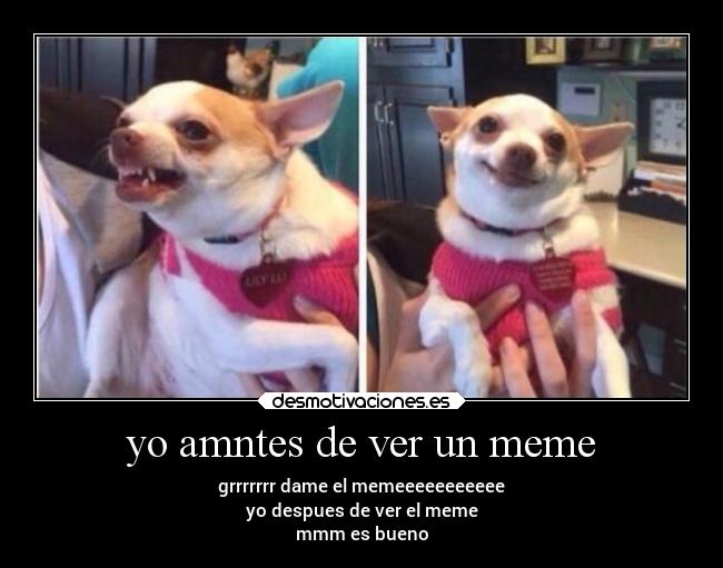 carteles memes desmotivaciones