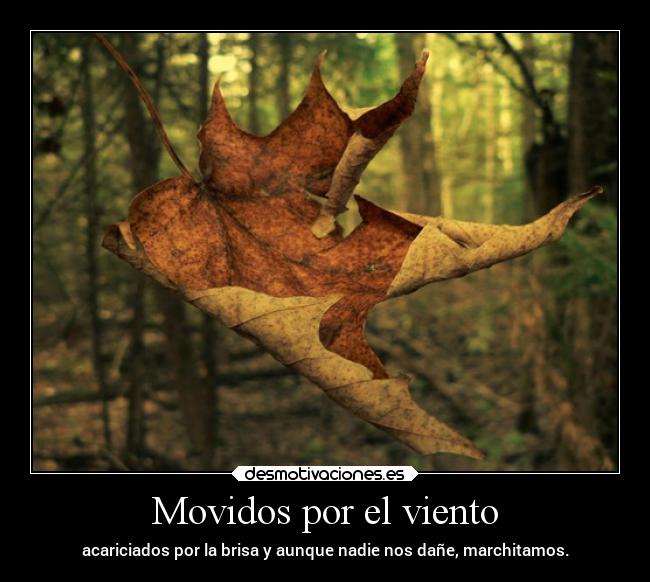 Movidos por el viento - acariciados por la brisa y aunque nadie nos dañe, marchitamos.