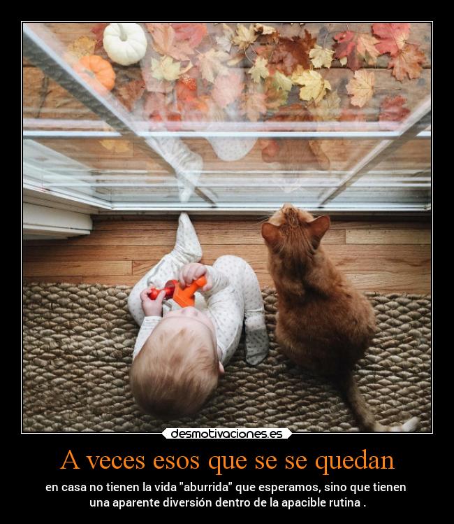 A veces esos que se se quedan - 