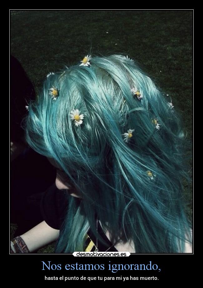 Nos estamos ignorando, - 