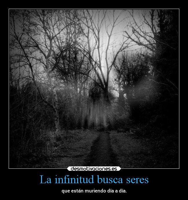 La infinitud busca seres - 