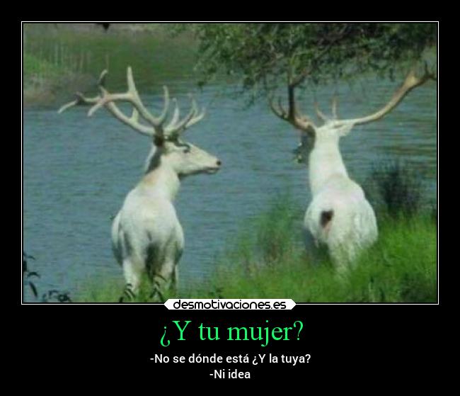 ¿Y tu mujer? -