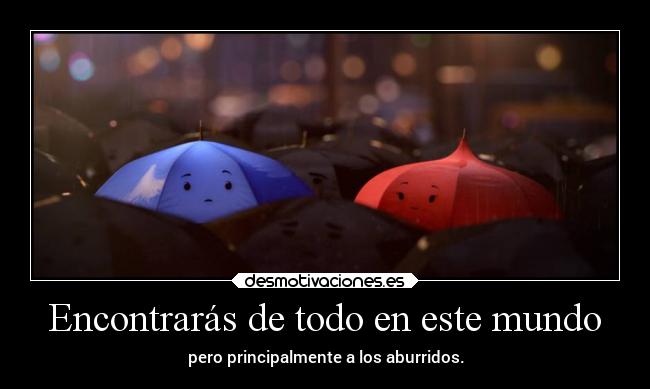 Encontrarás de todo en este mundo - pero principalmente a los aburridos.