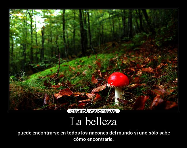 La belleza - puede encontrarse en todos los rincones del mundo si uno sólo sabe
cómo encontrarla.