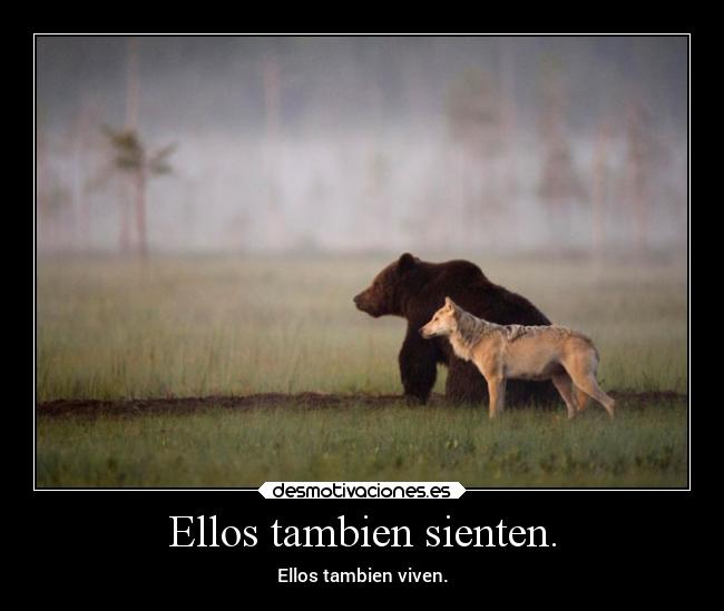 Ellos tambien sienten. -