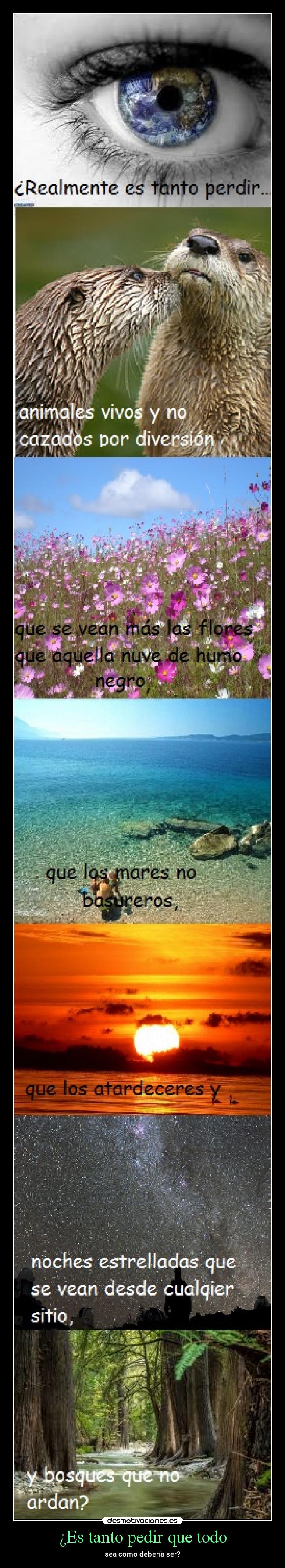 ¿Es tanto pedir que todo -