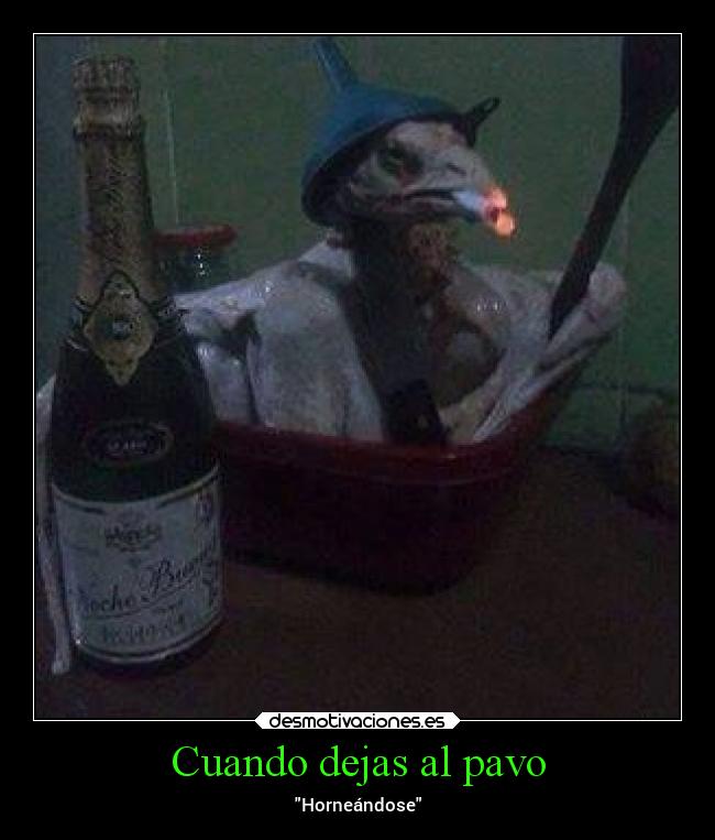 Cuando dejas al pavo - Horneándose