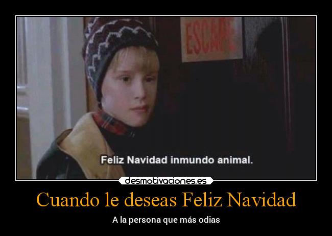 Cuando le deseas Feliz Navidad - 