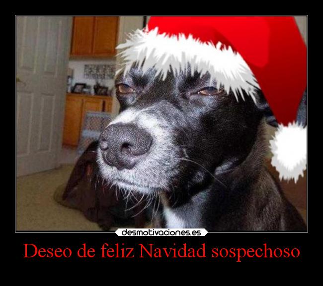 Deseo de feliz Navidad sospechoso - 