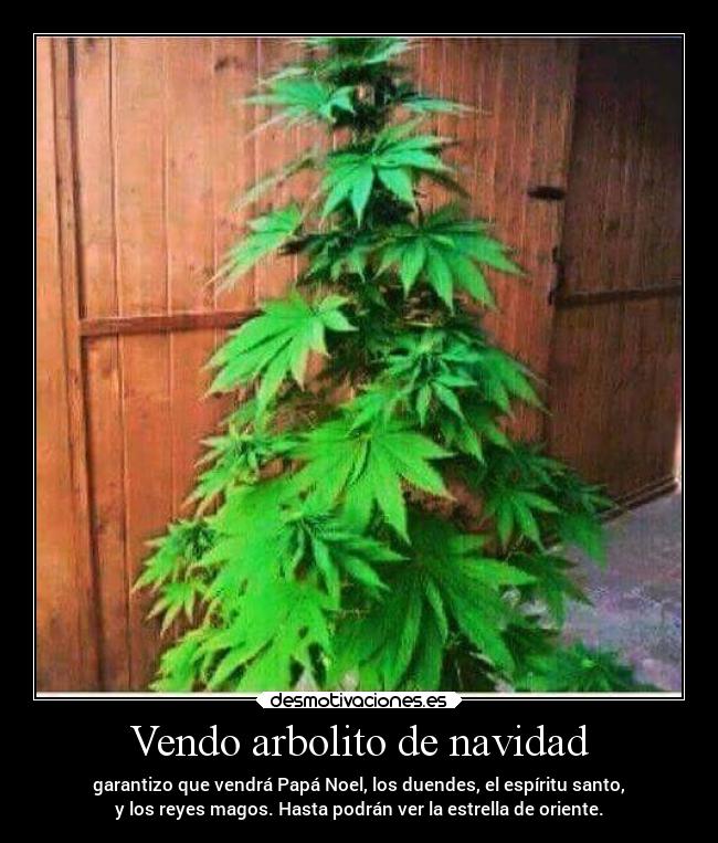 Vendo arbolito de navidad -