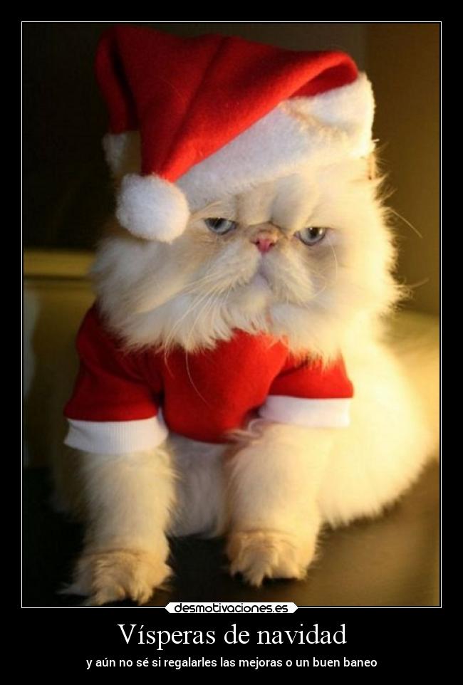 Vísperas de navidad - 